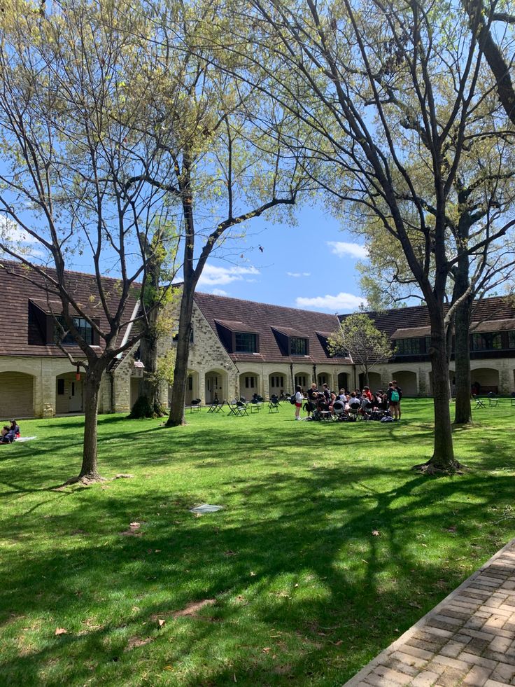 a group of people sitting on top of a lush green field next to tall trees