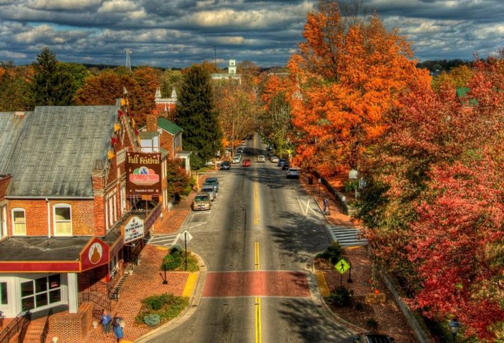 an aerial view of a city street with autumn trees in the foreground and clouds in the background