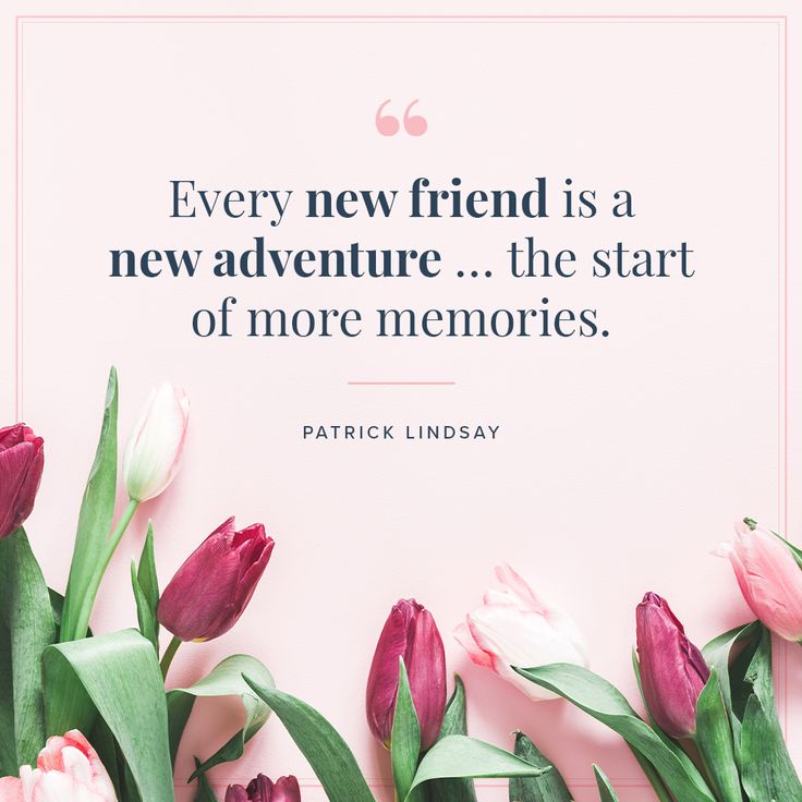 pink tulips and green leaves with a quote about new friends