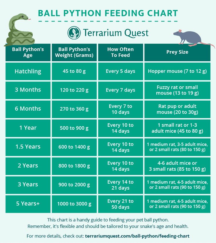 a table with information on how to use the ball python feeding chart