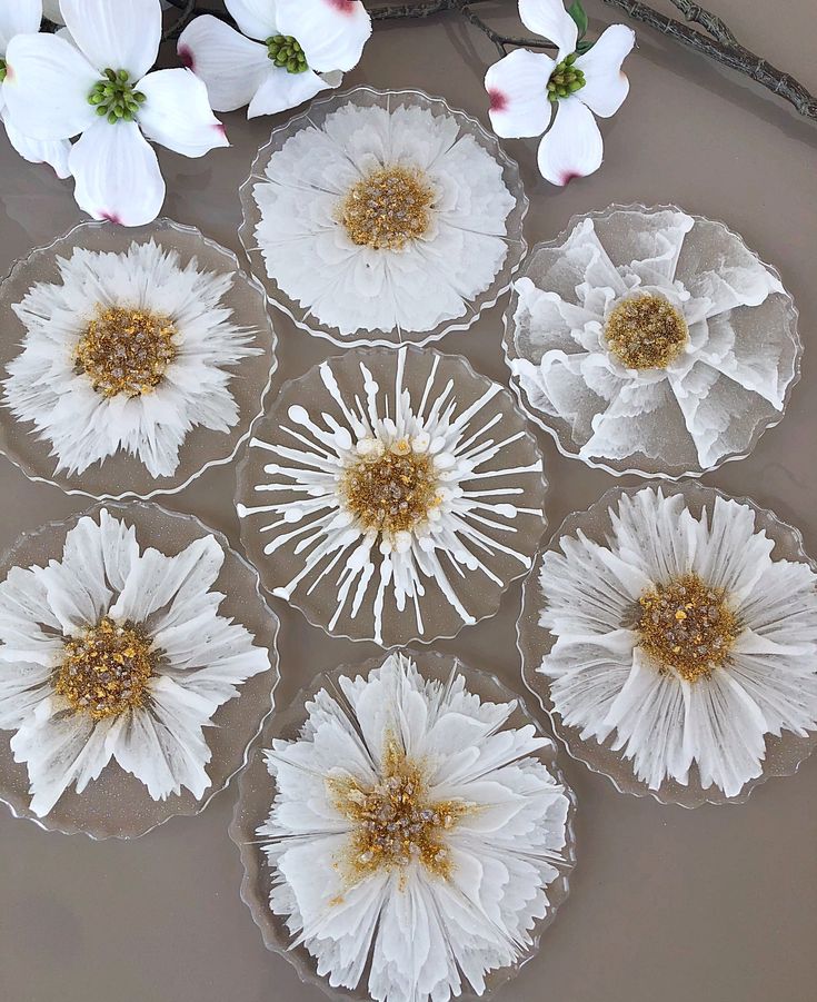 six glass plates with white flowers on them