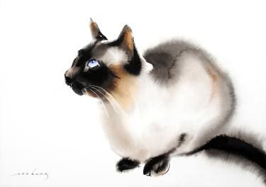 a black and white cat with blue eyes on a white background is looking up at something