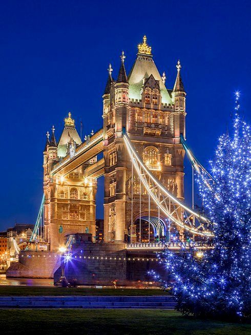 the tower bridge is lit up with christmas lights and a tree in front of it