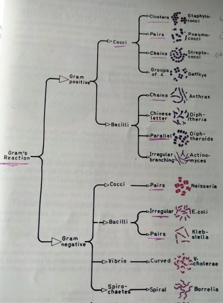 an open book with some diagrams on the page and words written in red, black and white