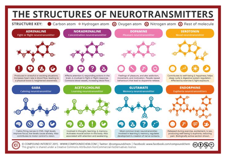 the structure of neutransmitters in different colors and sizes, with their names