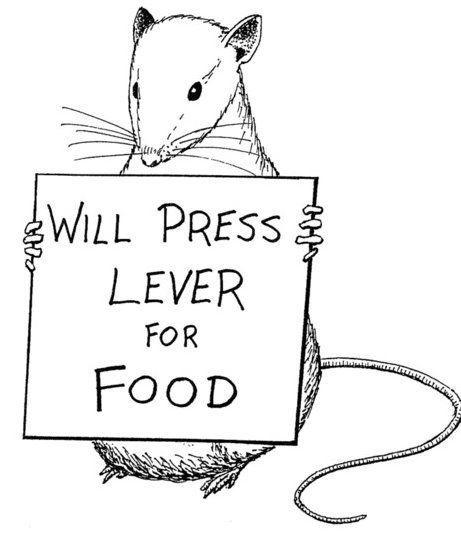 a rat holding a sign that says will press leverer for food