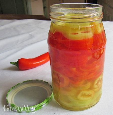 a jar filled with red, yellow and green liquid next to a hot chili pepper