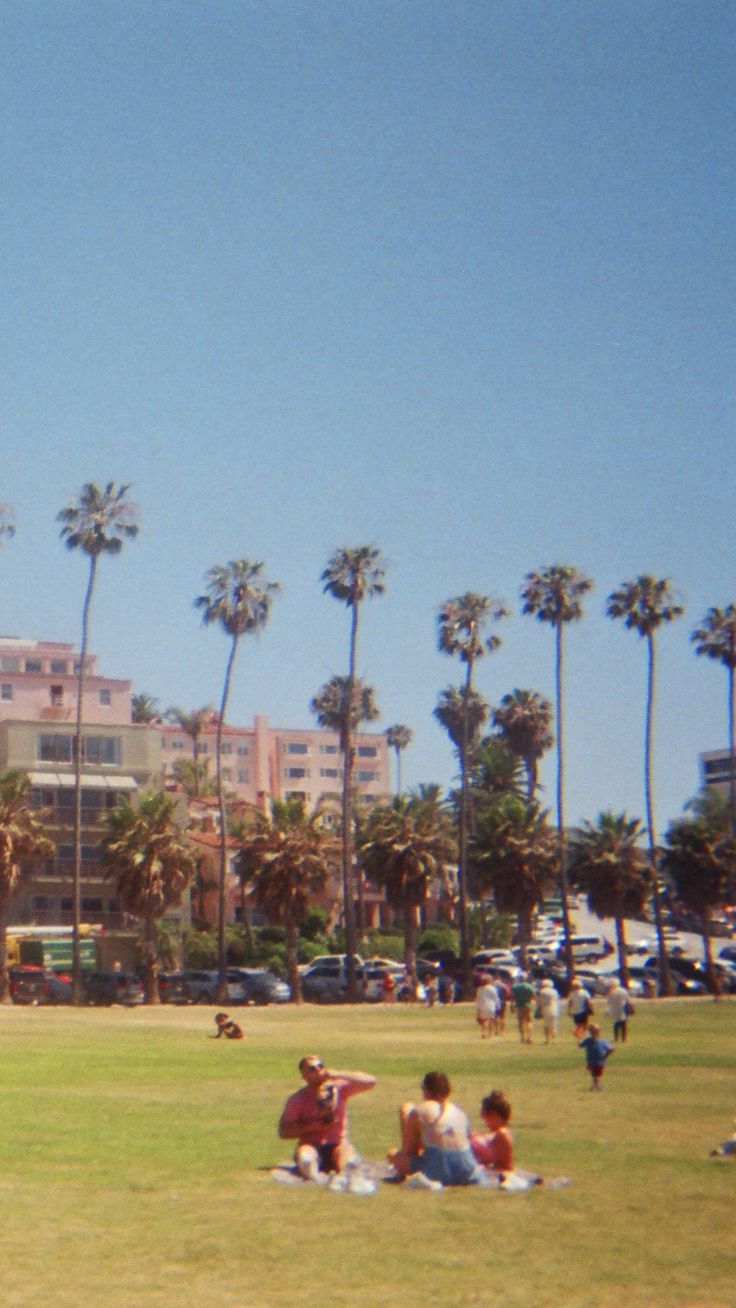 people are sitting on the grass in front of palm trees and buildings, while one person is flying a kite