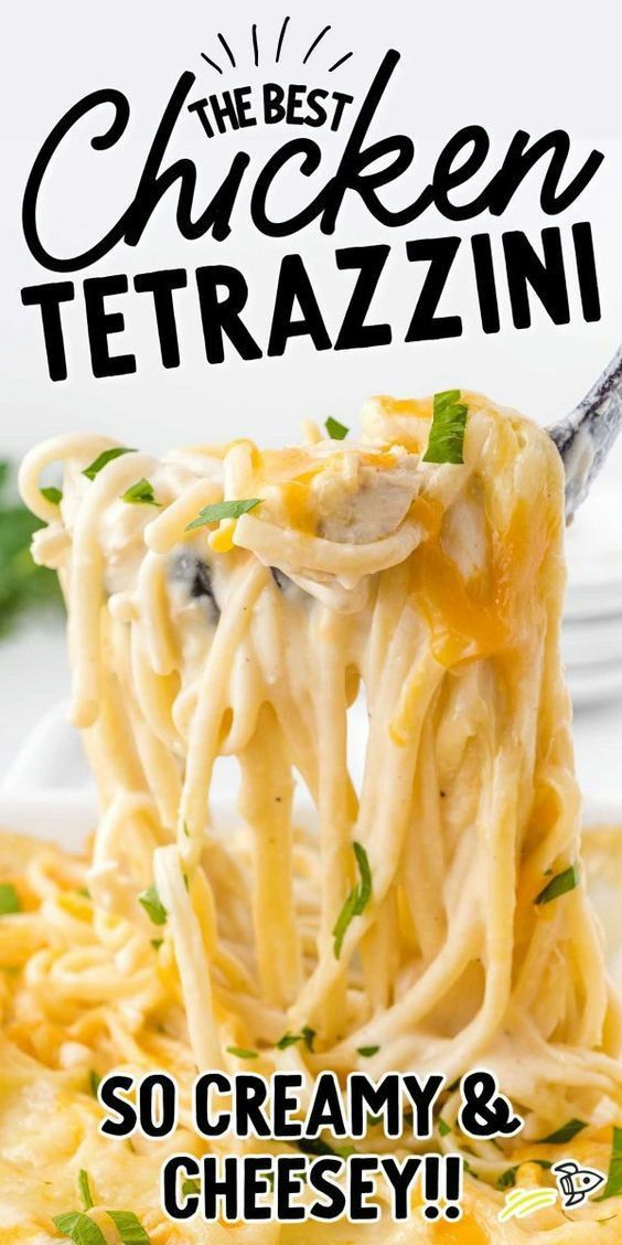 Chicken Tetrazzini Creamy Chicken Tetrazzini, Chicken Tetrazzini Casserole, Homemade White Sauce, Easy Chicken Tetrazzini, Chicken Tetrazzini Recipes, Noodles Chicken, Chicken Spaghetti Recipes, Chicken Tetrazzini, Shredded Chicken Recipes