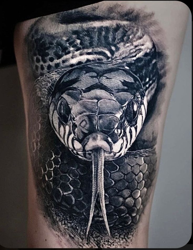 a black and white photo of a snake on the thigh