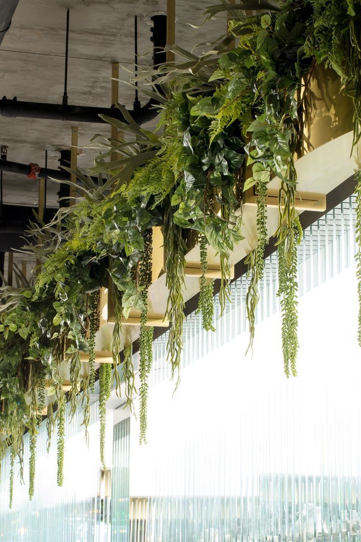 some green plants hanging from the side of a building with lots of light coming in