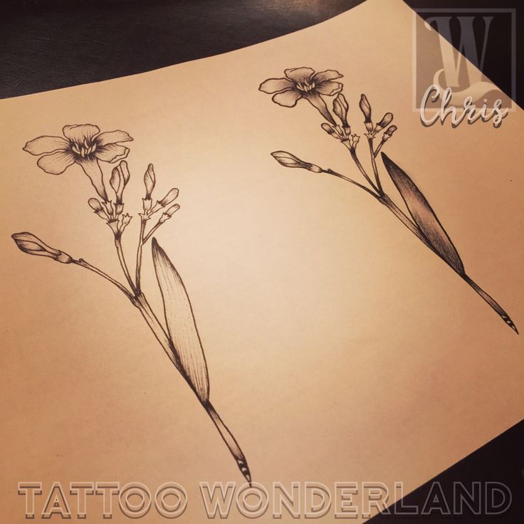 a drawing of two flowers on top of a piece of paper with the word tattoo wonderland written below it