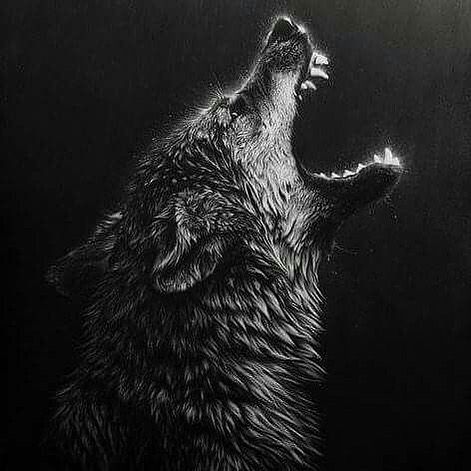 a black and white drawing of a wolf growling at the moon with its mouth open