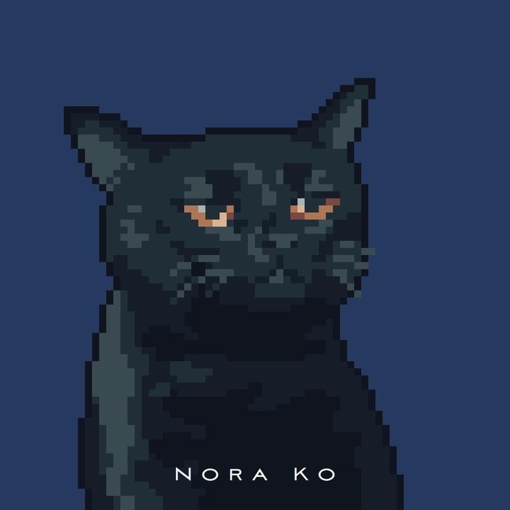 an image of a black cat with glowing eyes on it's face and the words, nora ko