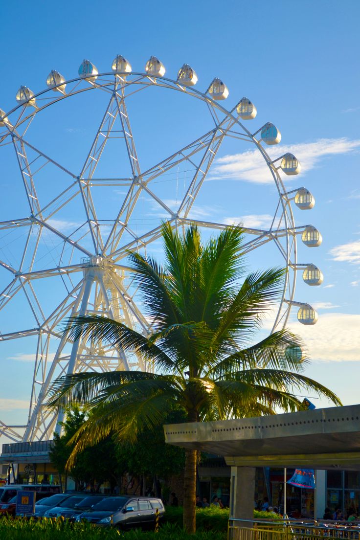 a large ferris wheel sitting next to a palm tree