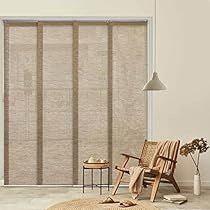 a living room with a chair, rug and window coverings