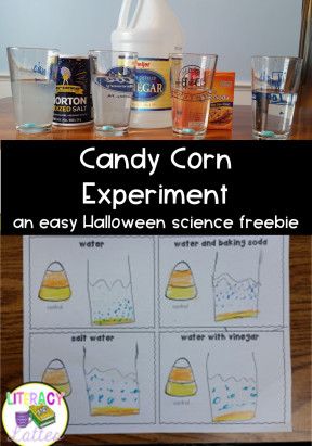 candy corn experiment for halloween science with freebiens and printables on the table