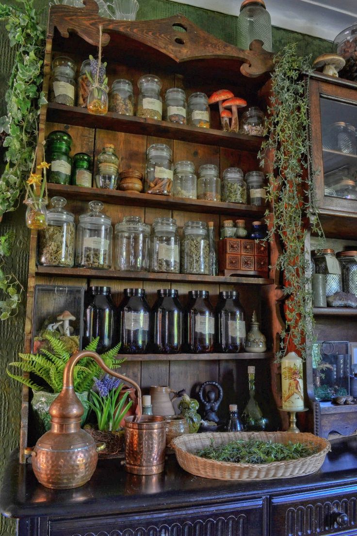 an old wooden shelf filled with jars and plants