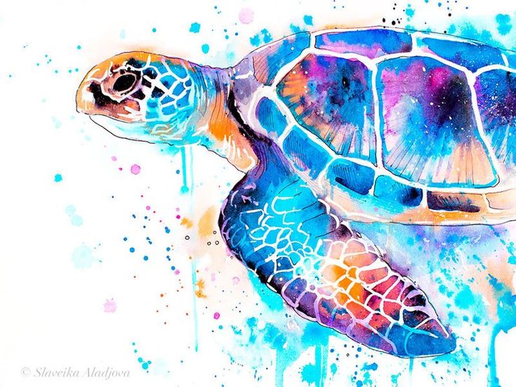 a watercolor painting of a sea turtle in blue, orange and pink colors with splashes