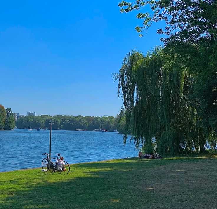 there is a bike parked next to the tree by the water's edge with people laying on the grass