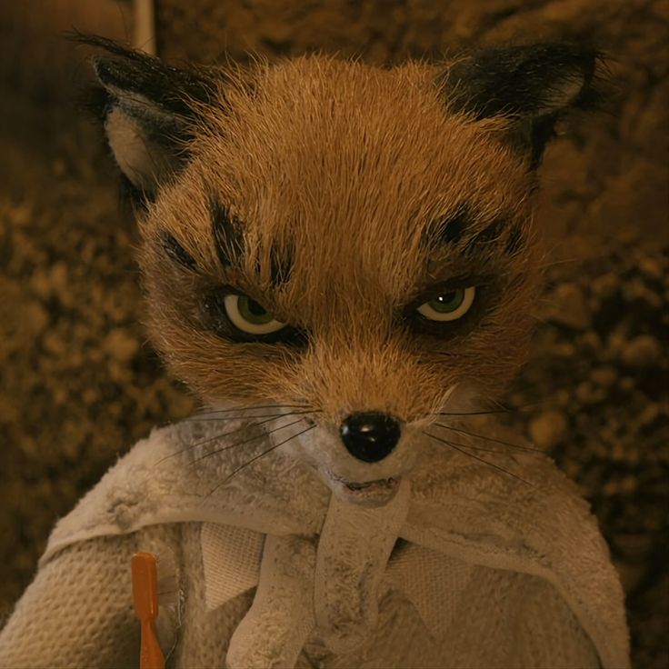 a stuffed fox wearing a sweater and looking at the camera