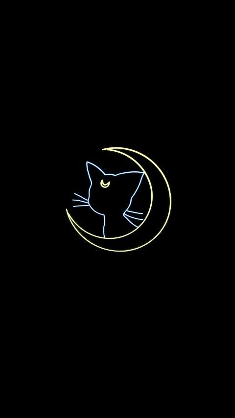 a black cat sitting on top of a crescent with the moon in the sky behind it