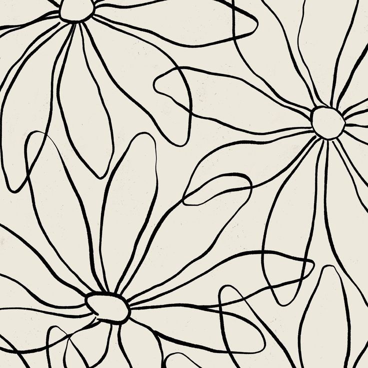 black and white drawing of flowers on a light gray background, with lines in the middle