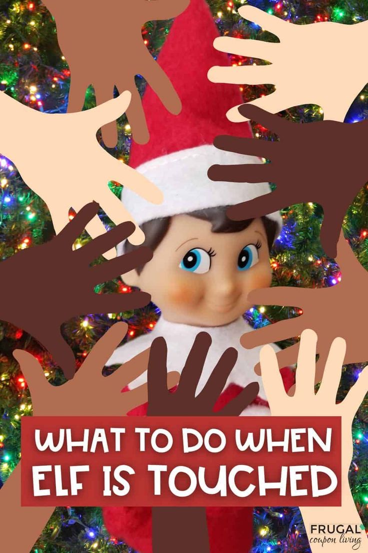 an elf is surrounded by christmas lights with the caption what to do when elf is touched