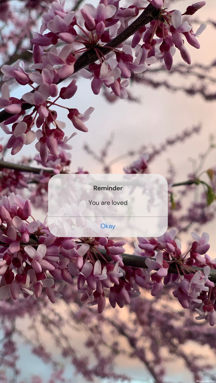 purple flowers are blooming on a tree branch with the message reminder you are loved
