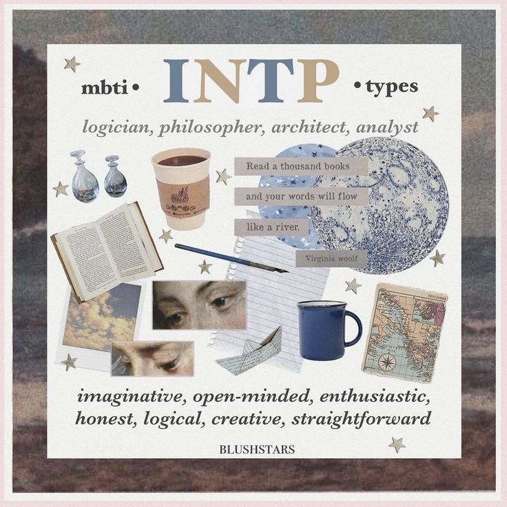 Intp Personality Type, Intp T, Intp Personality, Intj Intp, Myers Briggs Personality Types, Mbti Character, Bright Minds, Myers Briggs Personalities, 16 Personalities