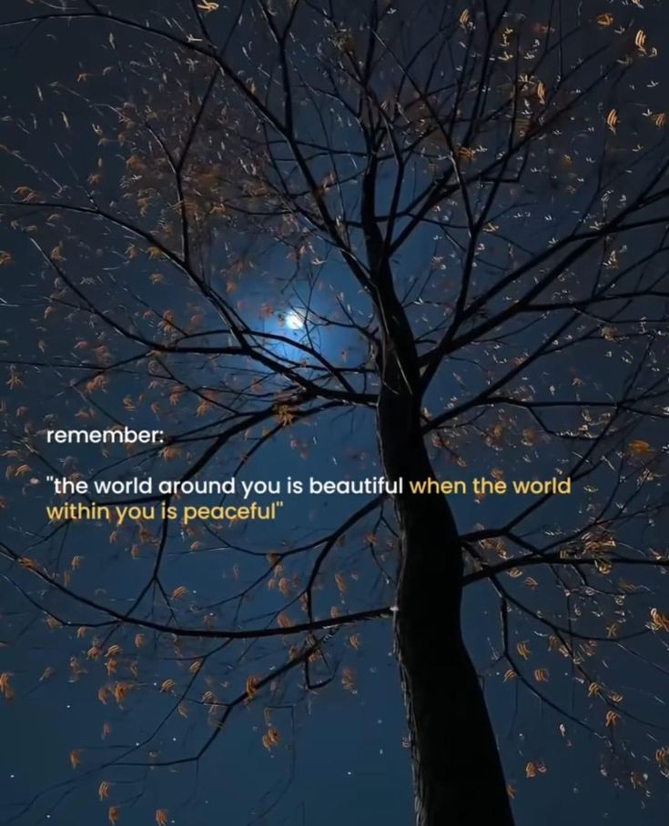 a tree with leaves on it and the moon in the sky behind it that reads, remember this world around you is beautiful when the world within your peaceful