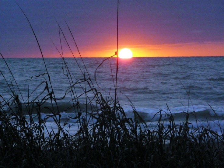 the sun is setting over the ocean with tall grass