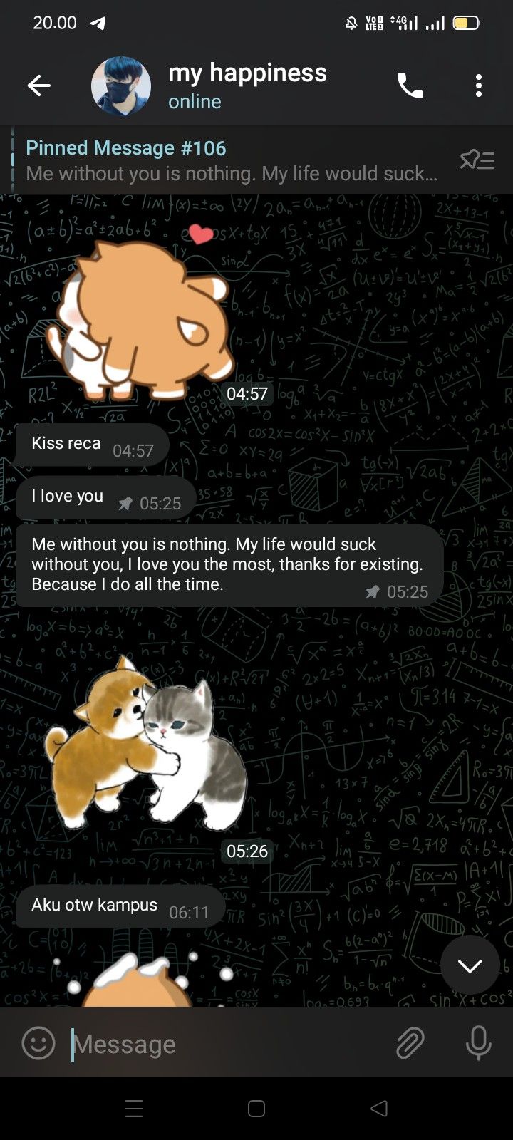 an image of two cats on a cell phone with texting and pictures above them