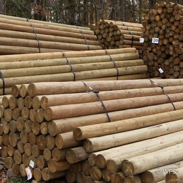 many logs are stacked together in the woods