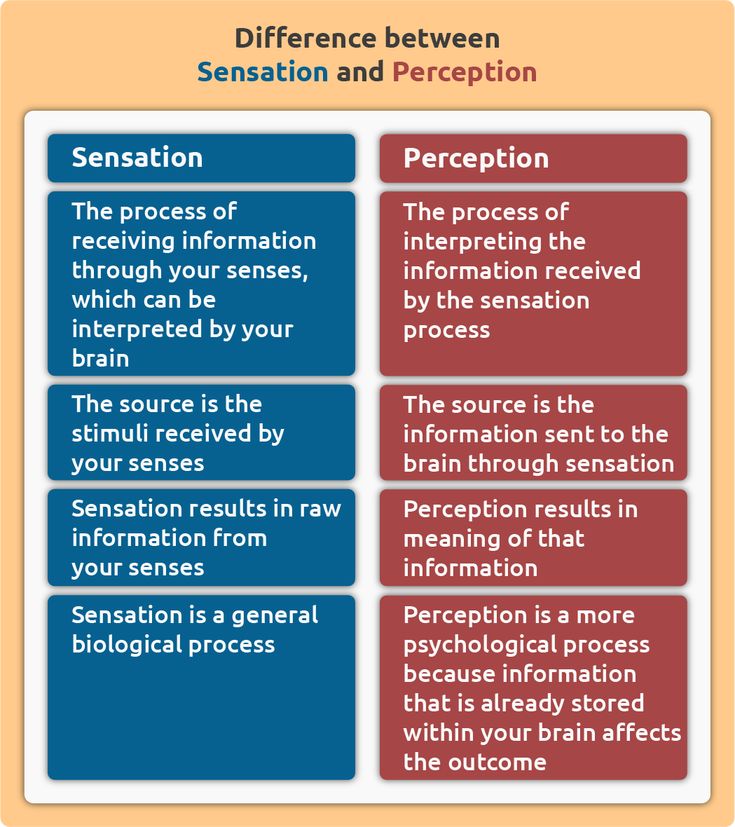 the differences between persuasion and perception