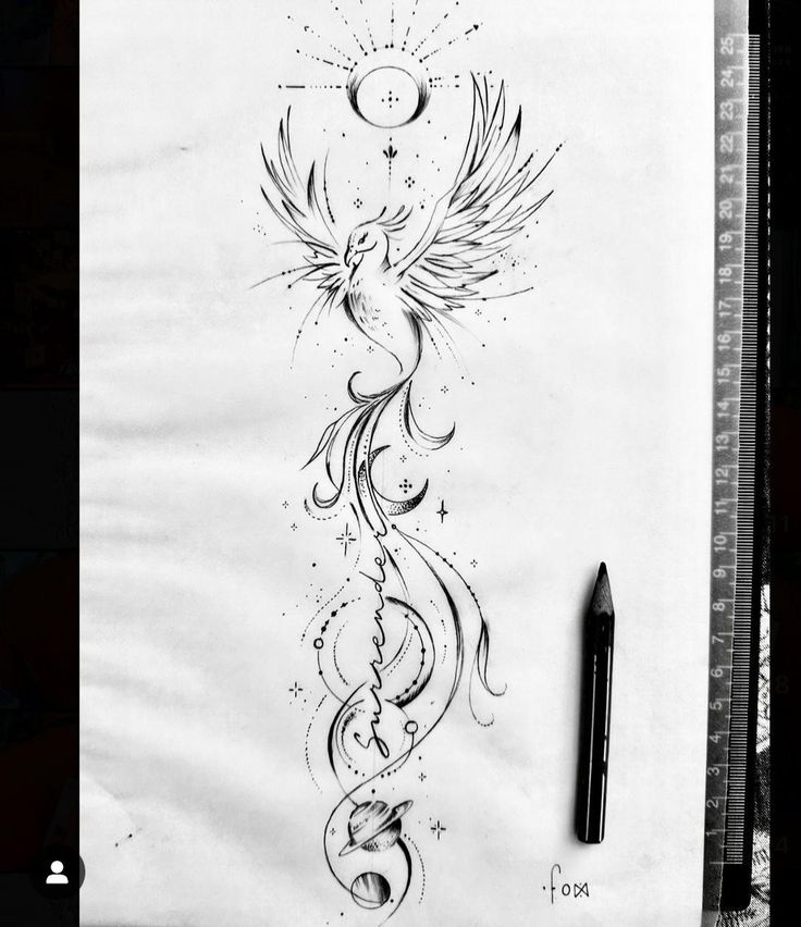 a pencil drawing of a bird with swirls and stars on it's back