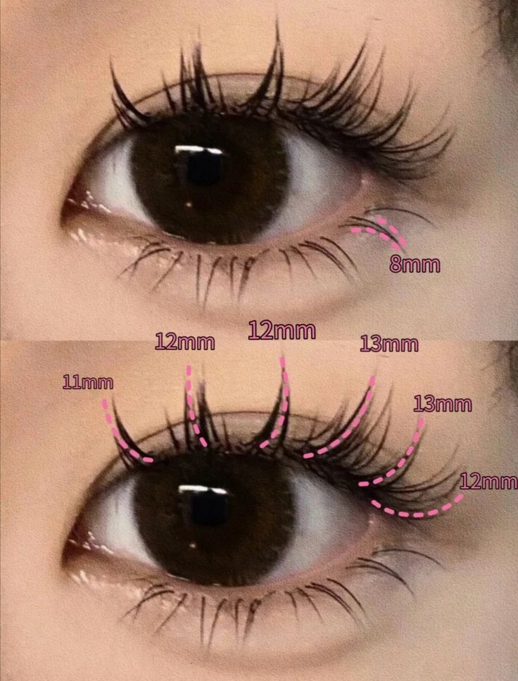 Manga Lashes Extensions Map, Manga Lash Map, Manga Eyelashes Extensions, Anime Lash Extensions Mapping, Japanese Lashes, Douyin Lashes, Manga Lashes Extensions, Doll Lash Extensions, Korean Eyelashes