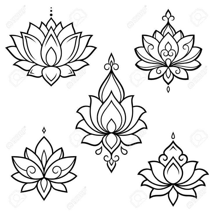 four different lotus flowers on a white background