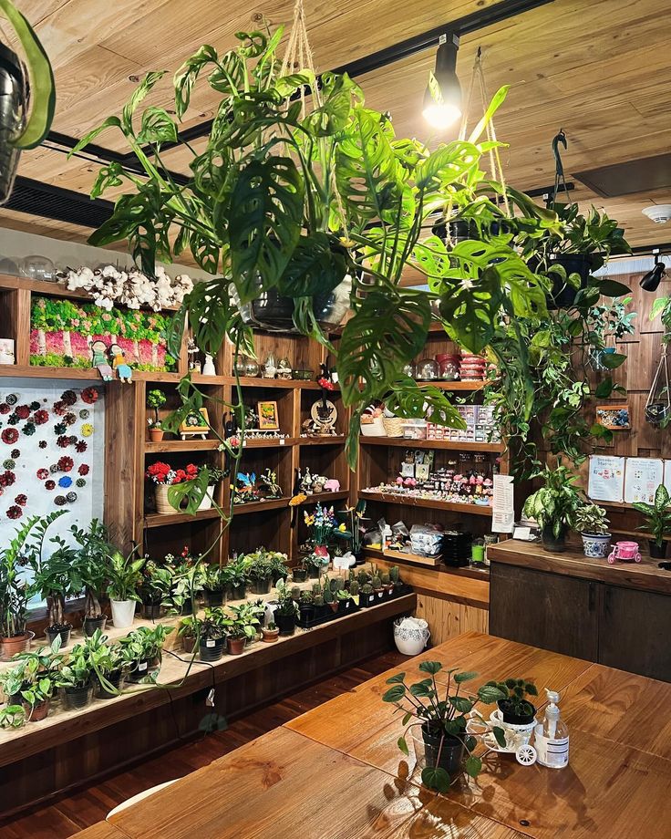 a room filled with lots of plants and potted plants on shelves next to each other