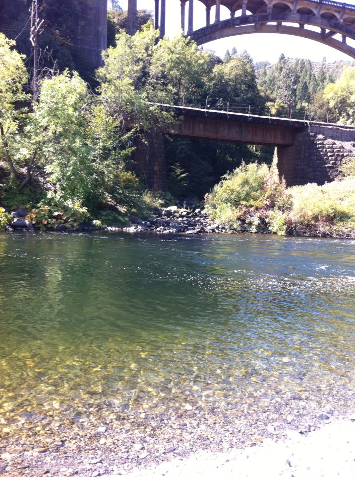 a bridge spanning over a river next to a forest filled with green trees and rocks