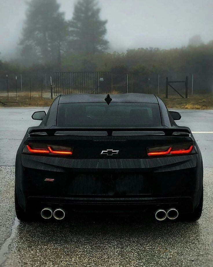 the rear end of a black sports car on a wet road with trees in the background