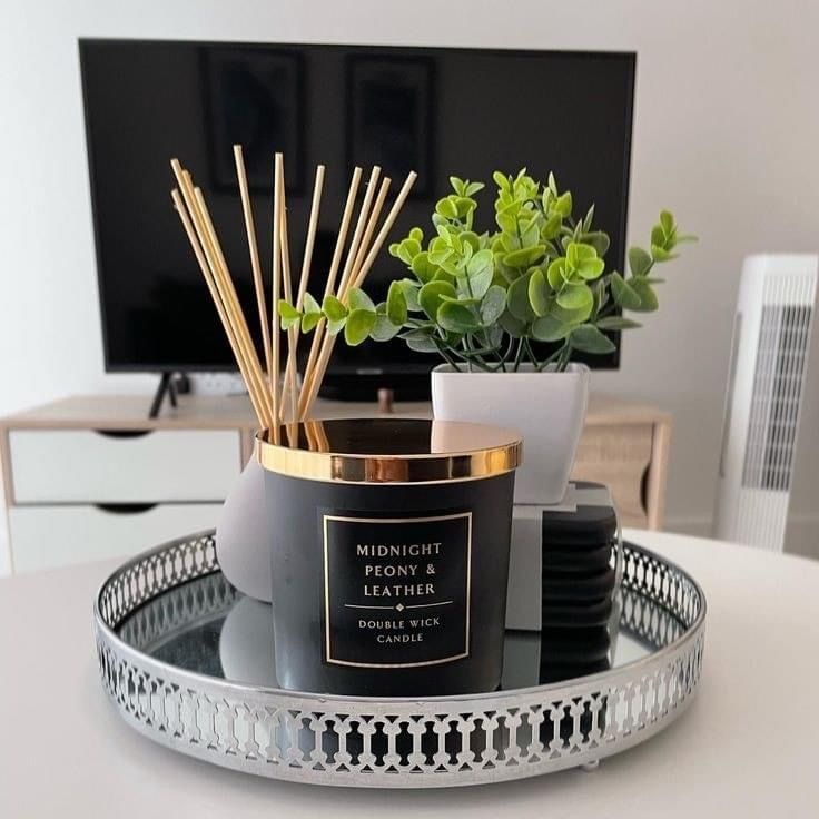 a tray that has some plants in it on top of a table next to a tv