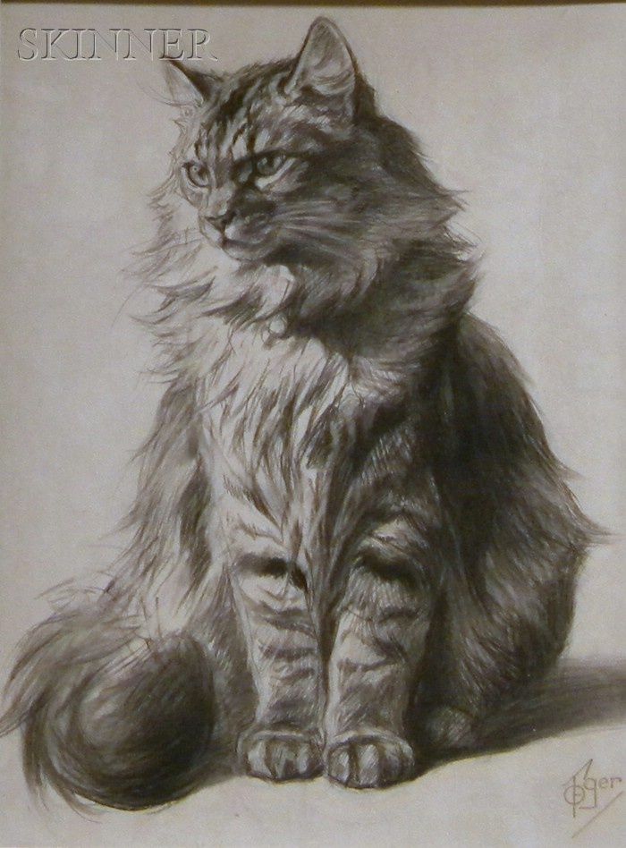 a pencil drawing of a cat sitting down