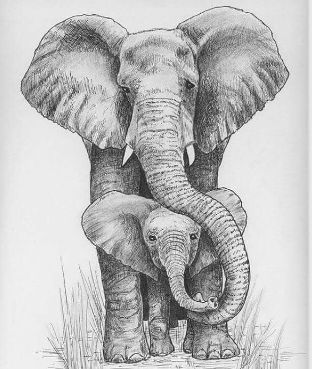 an elephant and its baby are standing together in the grass with their trunks curled up