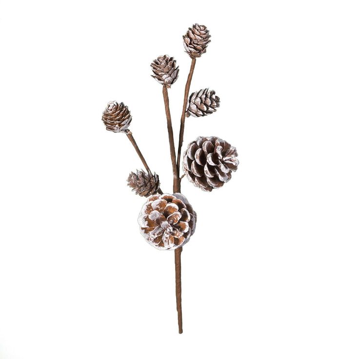 "Find the 11\" Snowy Pinecone Pick by Ashland® at Michaels. This snowy pinecone pick is perfect for lending your holiday floral arrangement a fun touch. This snowy pinecone pick is perfect for lending your holiday floral arrangement a fun touch. Place it in a lovely seasonal container to create a festive Christmas accent to display on a counter. Details: Brown and white 11\" (27.94 cm) Natural pinecone, paper, and iron wire For indoor use | 11\" Snowy Pinecone Pick by Ashland® | Michaels®" Christmas Sprays, Snowy Pinecone, Holiday Floral Arrangements, Winter Floral Arrangements, Christmas Tree Sale, Red Carnation, Flower Picks, Christmas Picks, Christmas Accents