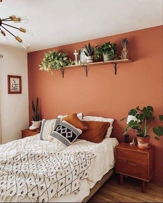 a bedroom with orange walls and white bedding, potted plants on shelves above the bed