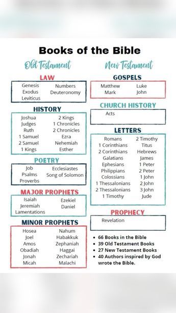 the bible worksheet for kids with pictures and text on it, including books of the bible