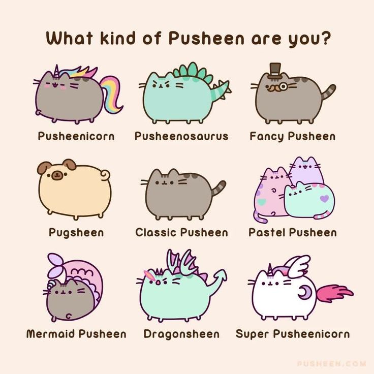 the different kinds of pushen are you?