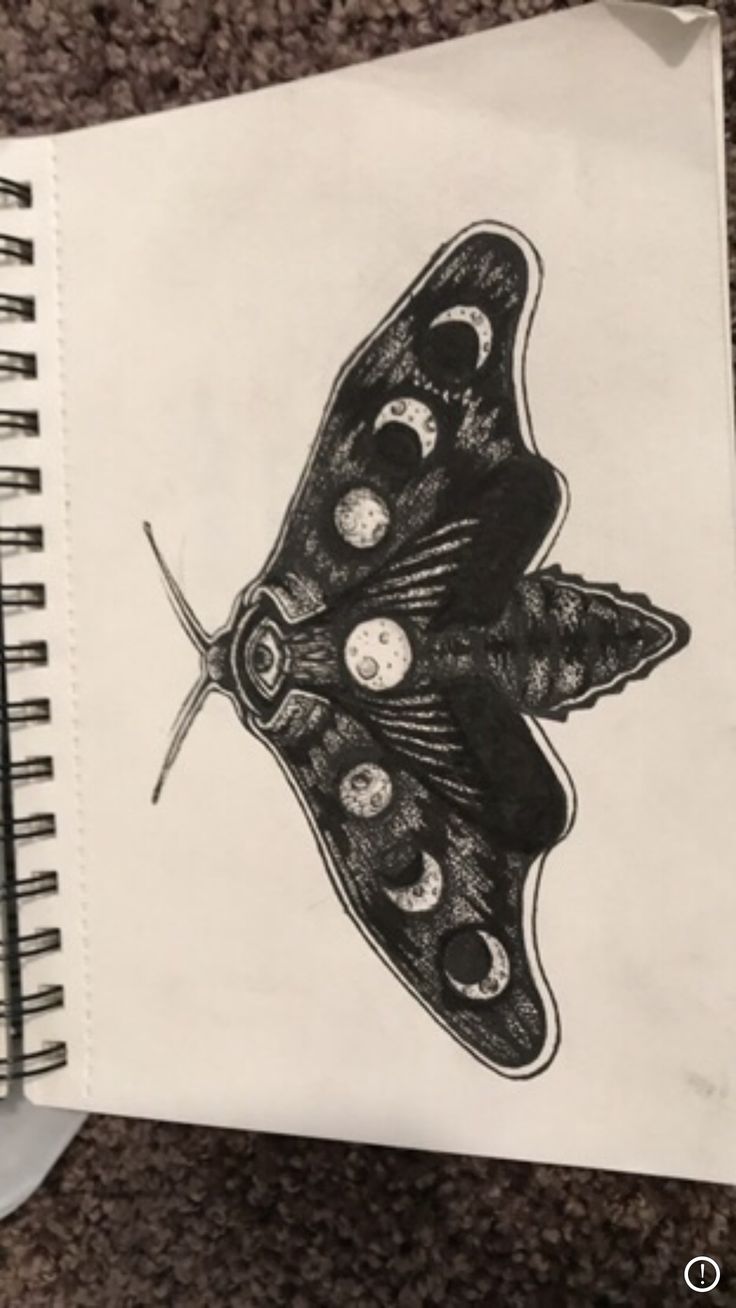 a black and white drawing of a butterfly on a spiral notebook with the cover open