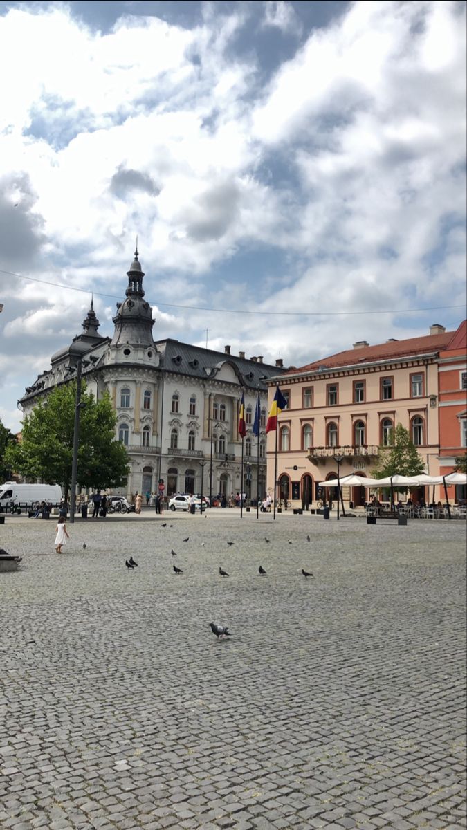 many birds are sitting on the cobblestone road in front of some old buildings